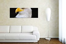 Obrazy Panoráma Zvierat zs3178