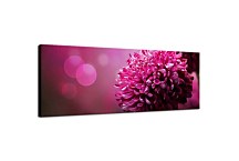 Obraz Panorámy Kvetov zs346