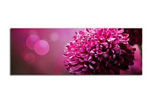 Obraz Panorámy Kvetov zs346