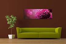 Obraz Panorámy Kvetov zs346