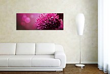 Obraz Panorámy Kvetov zs346