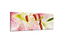 Obraz Panorámy Kvety zs18585