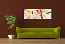 Obraz Panorámy Kvety zs18585