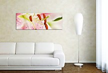 Obraz Panorámy Kvety zs18585