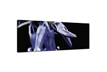 Obraz Panoráma Kvety zs18612