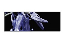 Obraz Panoráma Kvety zs18612