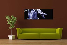 Obraz Panoráma Kvety zs18612