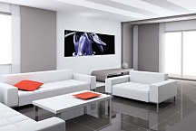 Obraz Panoráma Kvety zs18612