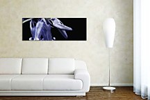 Obraz Panoráma Kvety zs18612