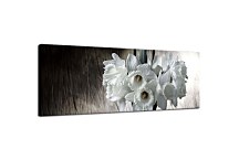 Obraz Panoráma Narcisy zs97