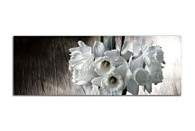 Obraz Panoráma Narcisy zs97