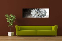 Obraz Panoráma Narcisy zs97