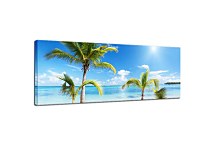 Obrazy Panorámy Palmy zs18628
