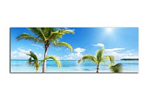 Obrazy Panorámy Palmy zs18628