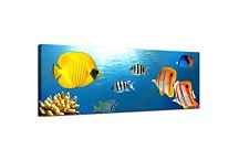Obrazy Panorámy Ryby zs115