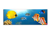 Obrazy Panorámy Ryby zs115