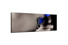 Obrazy Panorámy Motýľ zs109