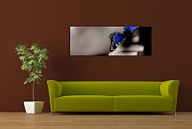 Obrazy Panorámy Motýľ zs109