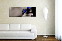 Obrazy Panorámy Motýľ zs109