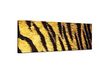 Obraz Panorámy koža zs125