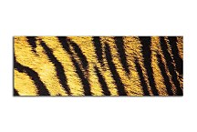 Obraz Panorámy koža zs125