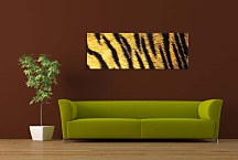 Obraz Panorámy koža zs125