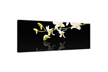 Obraz Kvet Panorámy zs18582