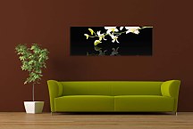 Obraz Kvet Panorámy zs18582