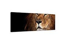 Obraz Panorámy Zvierat zs3179