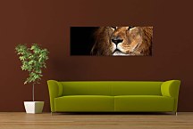 Obraz Panorámy Zvierat zs3179