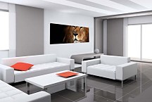 Obraz Panorámy Zvierat zs3179