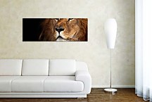 Obraz Panorámy Zvierat zs3179