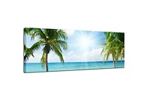 Obraz s palmami zs399