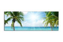 Obraz s palmami zs399