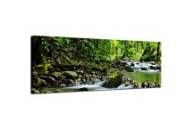 Obrazy Prírody zs3224