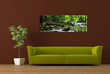 Obrazy Prírody zs3224