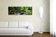 Obrazy Prírody zs3224