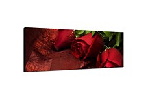 Obraz Ruže Panoráma zs92