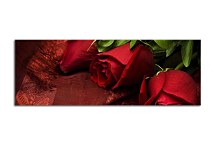 Obraz Ruže Panoráma zs92