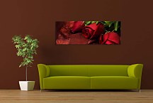 Obraz Ruže Panoráma zs92