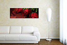 Obraz Ruže Panoráma zs92