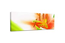 Obraz s kvetmi Panoráma zs18518