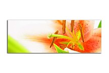 Obraz s kvetmi Panoráma zs18518