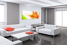 Obraz s kvetmi Panoráma zs18518