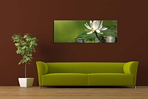 Obraz s kvetmi Panorámy zs344