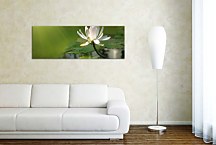 Obraz s kvetmi Panorámy zs344