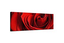 Obraz s kvetmi Panorámy zs348