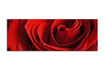 Obraz s kvetmi Panorámy zs348