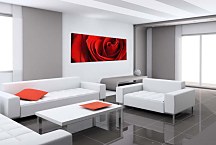 Obraz s kvetmi Panorámy zs348