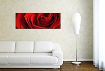 Obraz s kvetmi Panorámy zs348